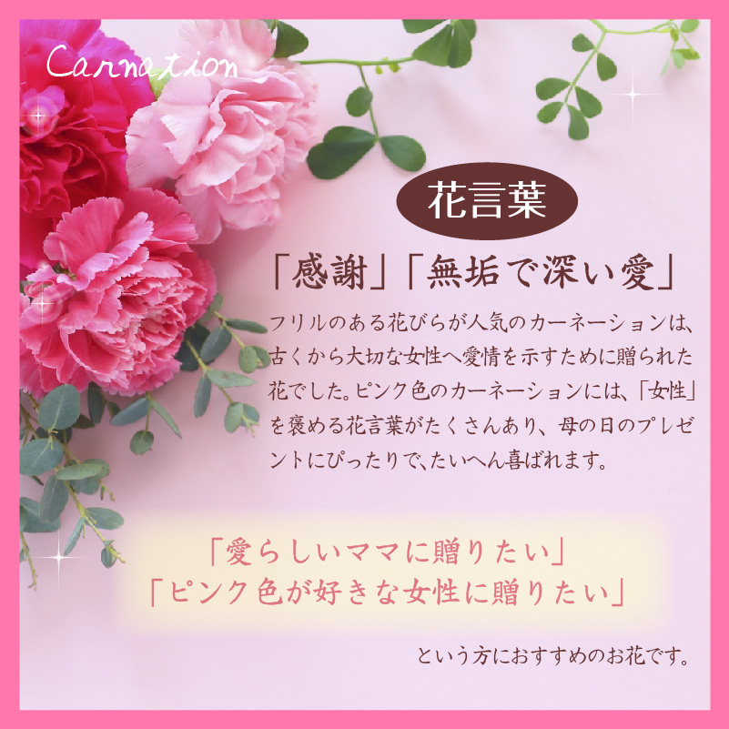 公式記念屋 atelier-Ryokuei / 数量限定母の日 カーネーション プリザーブドフラワー 名入れ 名入れギフト お花 花言葉 プリザ  ソラフラワー パール 誕生日 結婚祝い 女子 母の日ギフト 2022